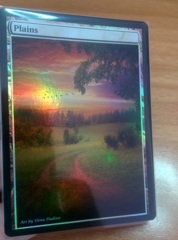 Plains #02 Foil Extended